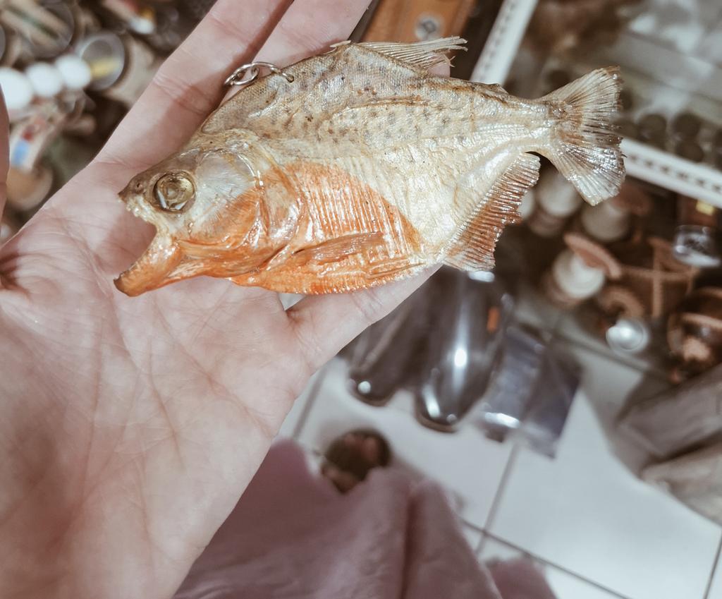 Um peixe de chaveiro