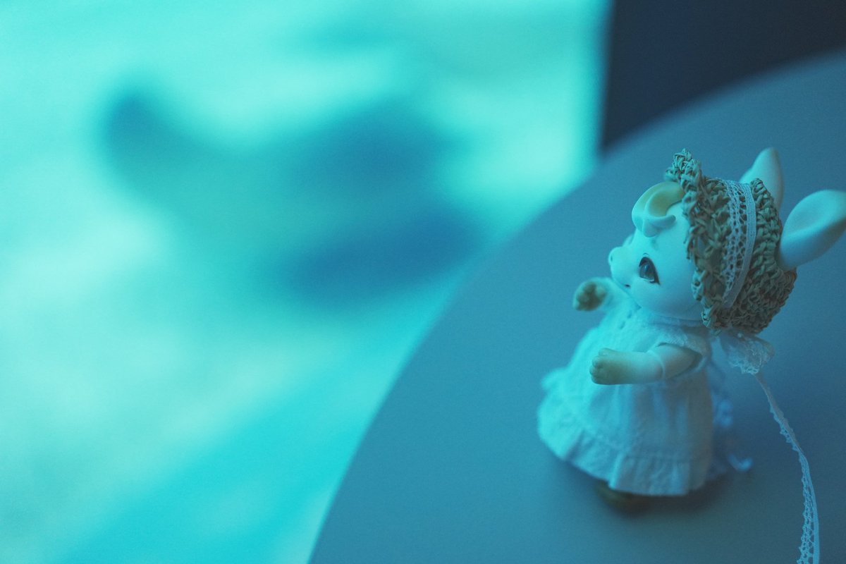 おもちょ tweet media