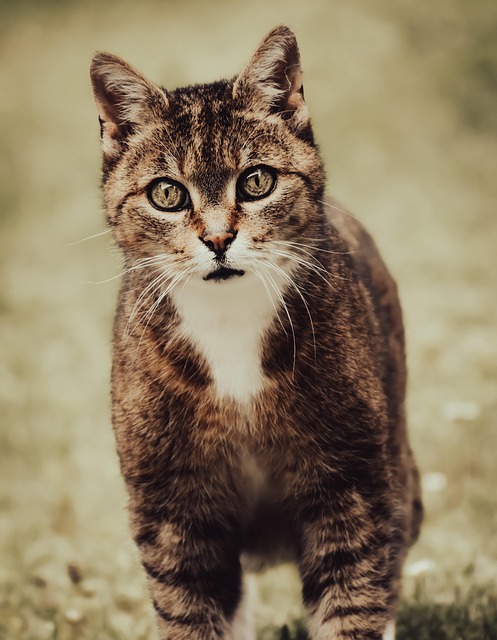 Trevor Taylor tweet media