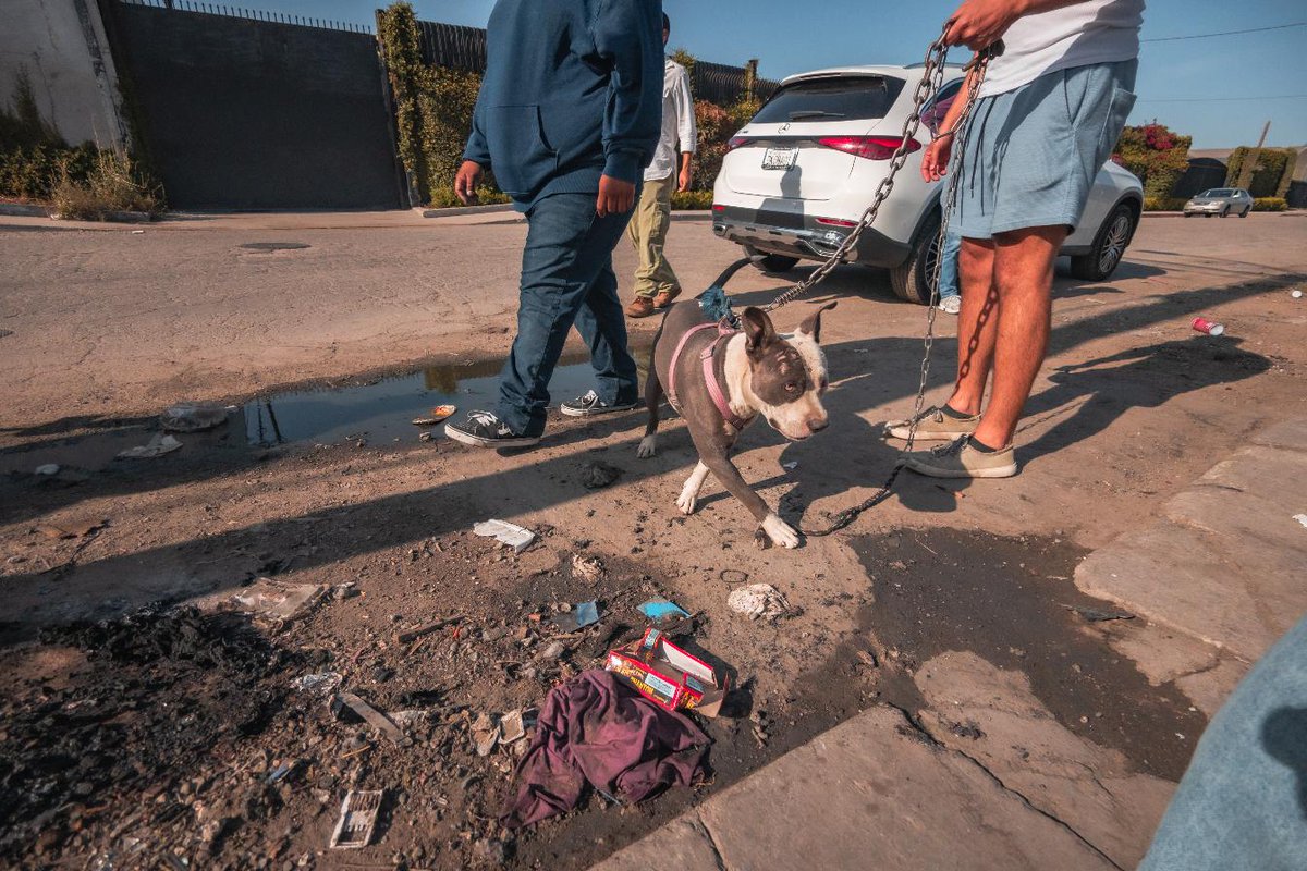 JoeyTuccio tweet media