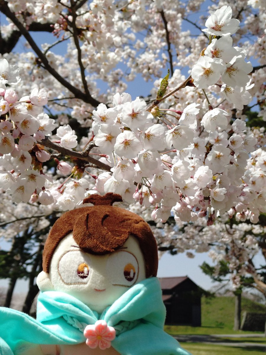 さもさ tweet media