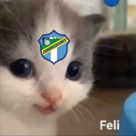 Mood
