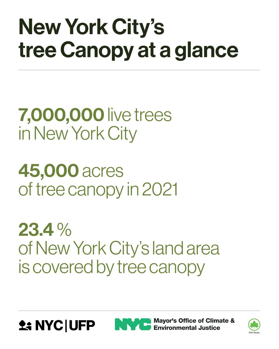 NYClimate's tweet image. For too long, not every neighborhood has had equal access to tree canopy. That changes today.

NYC’s first-ever #UrbanForestPlan lays out a path to a cooler, healthier, more equitable city, with a goal of 30% canopy by 2040.

Read the plan: nyc.gov/assets/climate…