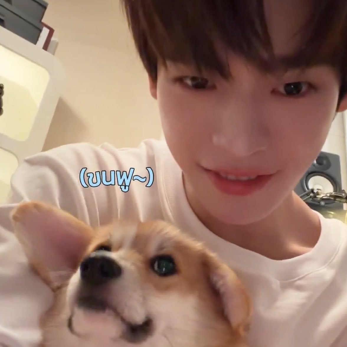 ฮปทต ◡̈ tweet media