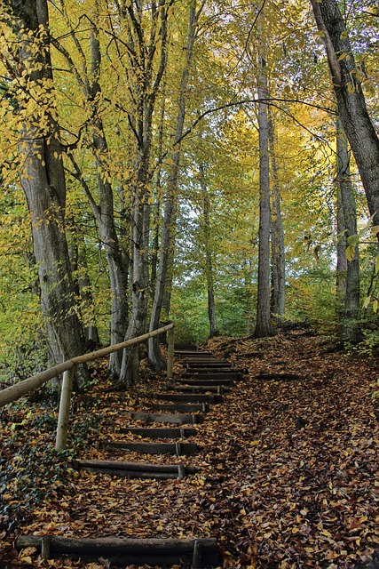 Gerald Harris tweet media