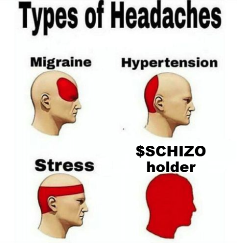 SCHIZO SIGNALS tweet media