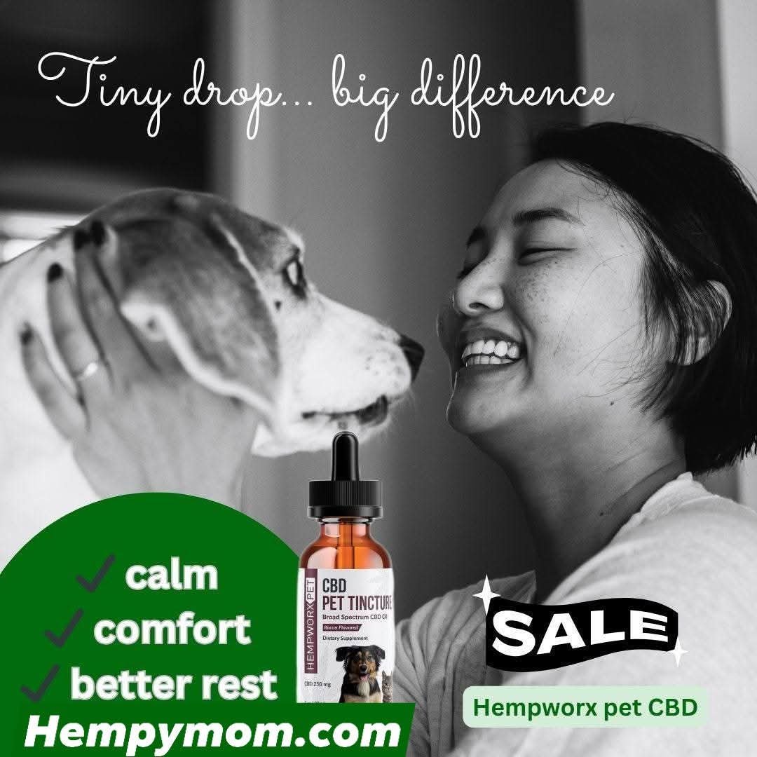 Virtualworld Lyn tweet media