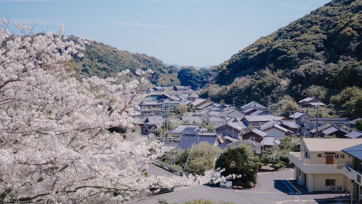 showgowon's tweet photo. “花粉のない島”が最高だった。
島旅でしか得られない栄養がある。 https://t.co/lNxTqB7dpX