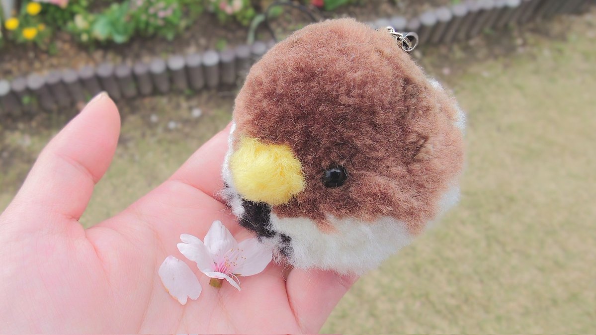 安地谷@G9(ｼﾞ-ﾅｲﾝのあちや)𓅫 tweet media