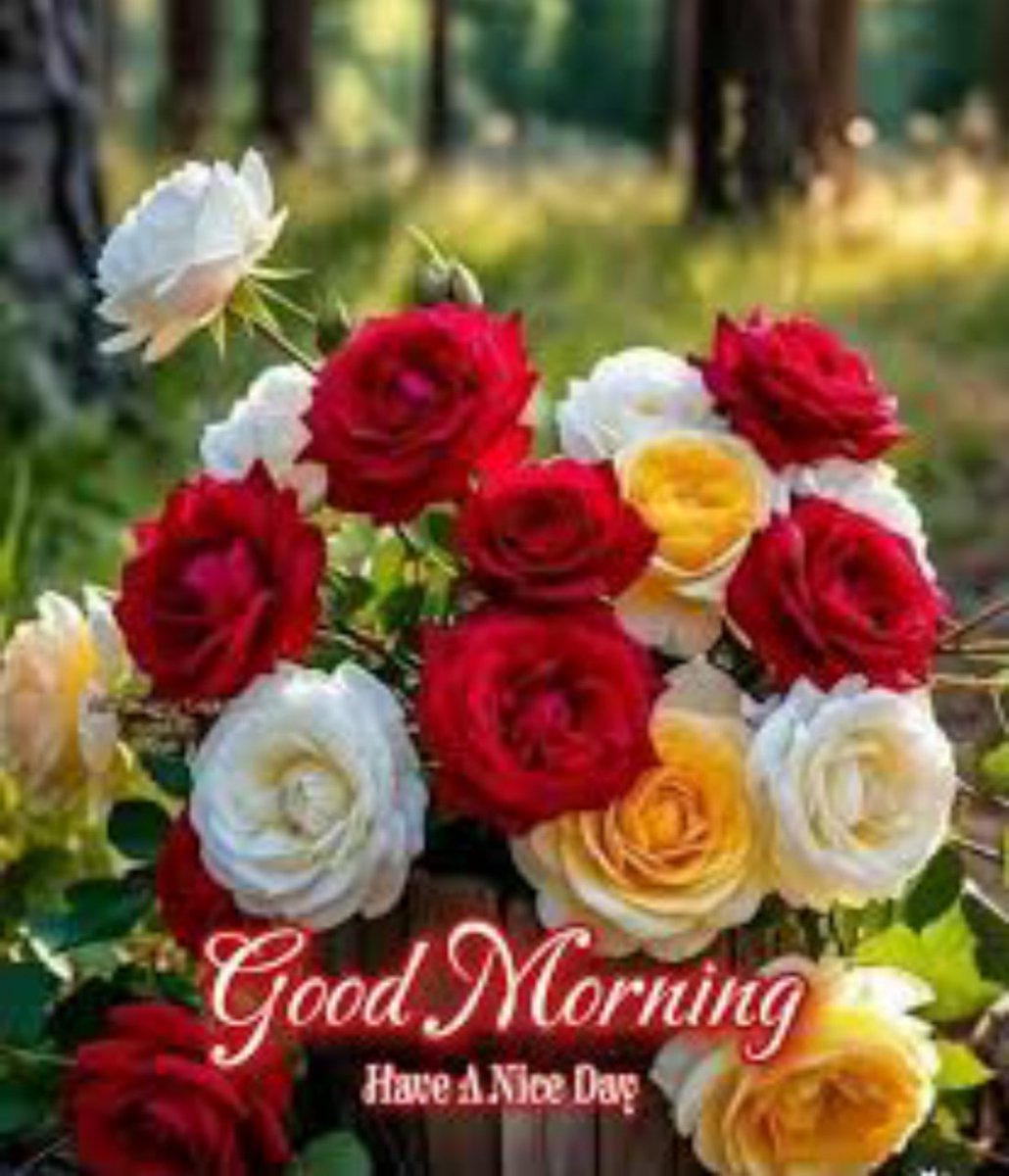 Abbulu Abbulu tweet media