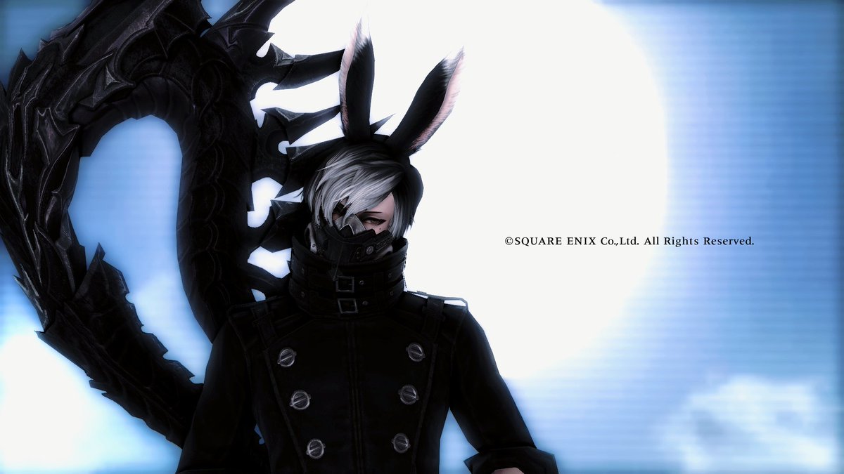 内藤めぁ。 tweet media