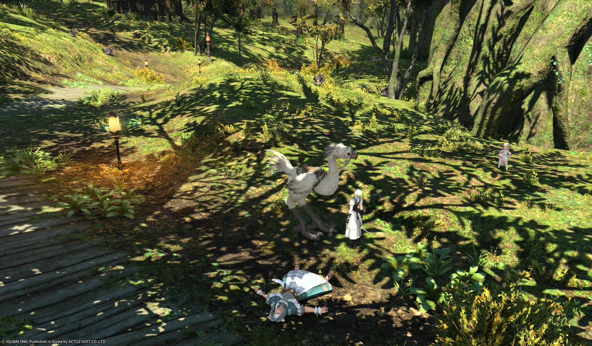 으나시ʚ( c •) tweet media