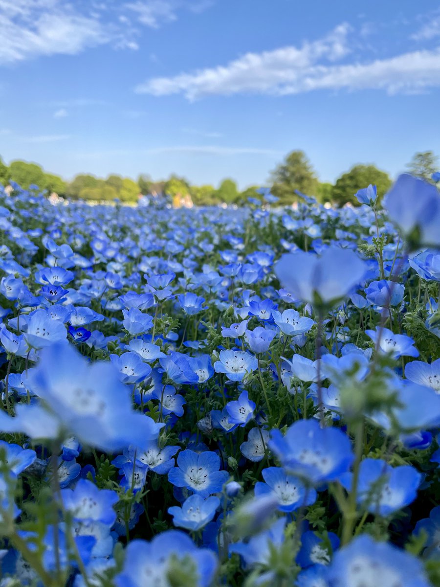 まる。📸 tweet media