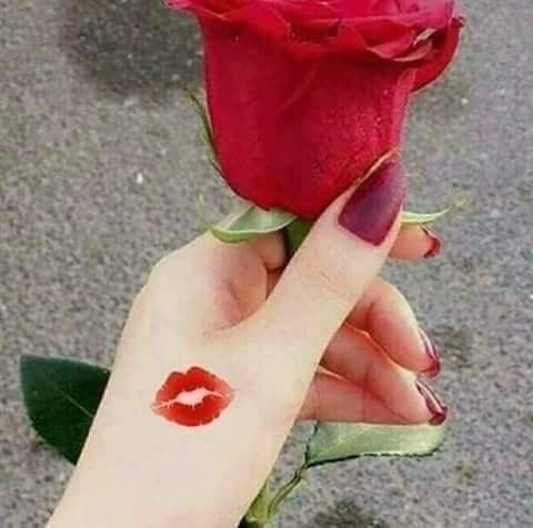 هلا العتيبي♥️ tweet media