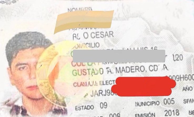 ZuritaCarpio tweet media