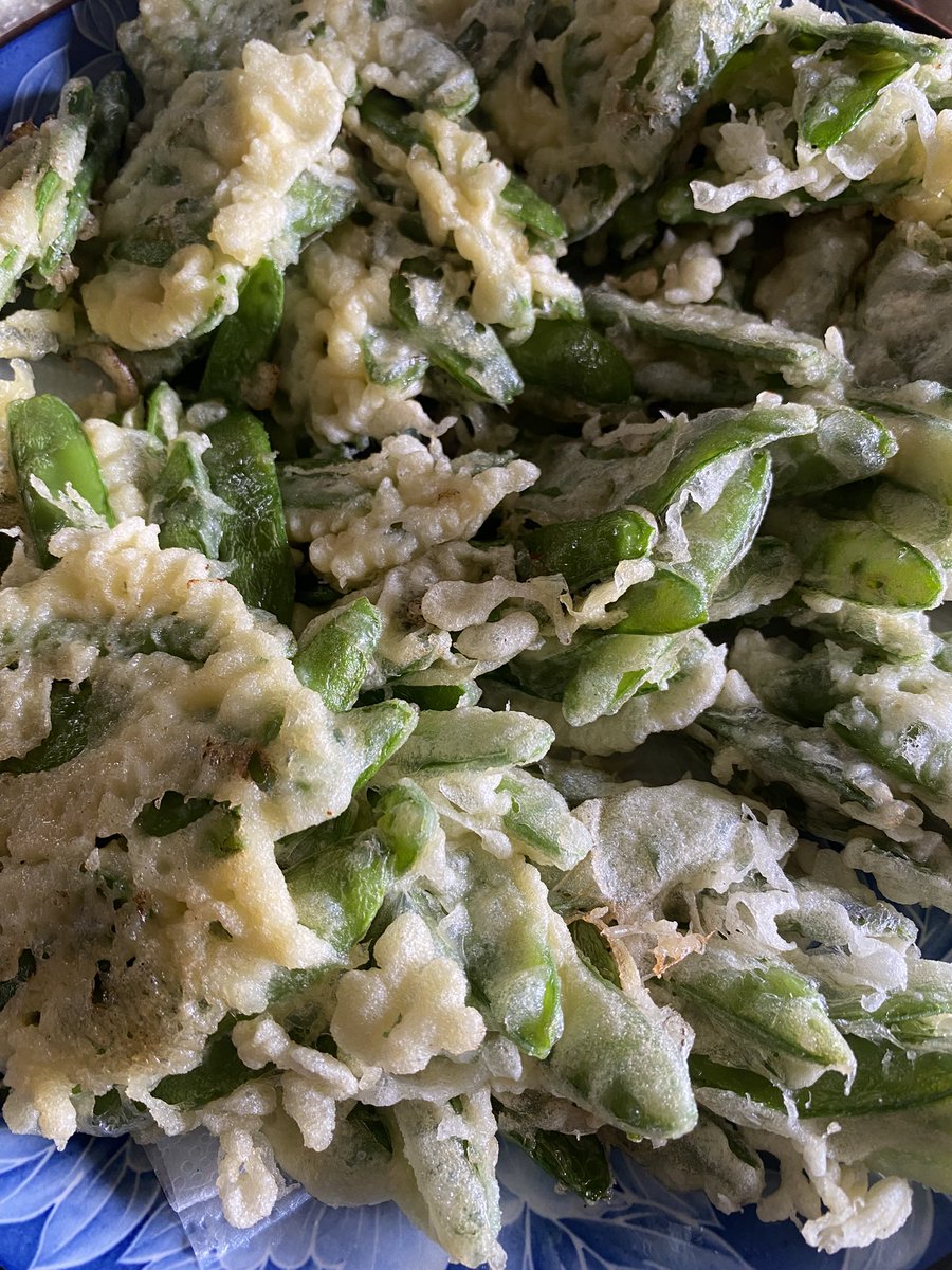 悉くを滅ぼすオビィ👑 tweet media