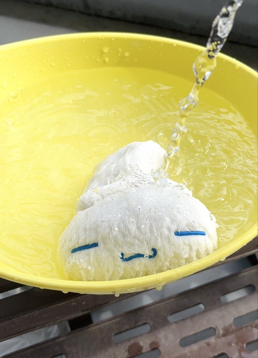 これはこの前洗われた時のアナザーカットのシナモン
This is another shot of Cinnamoroll from the last time it was washed