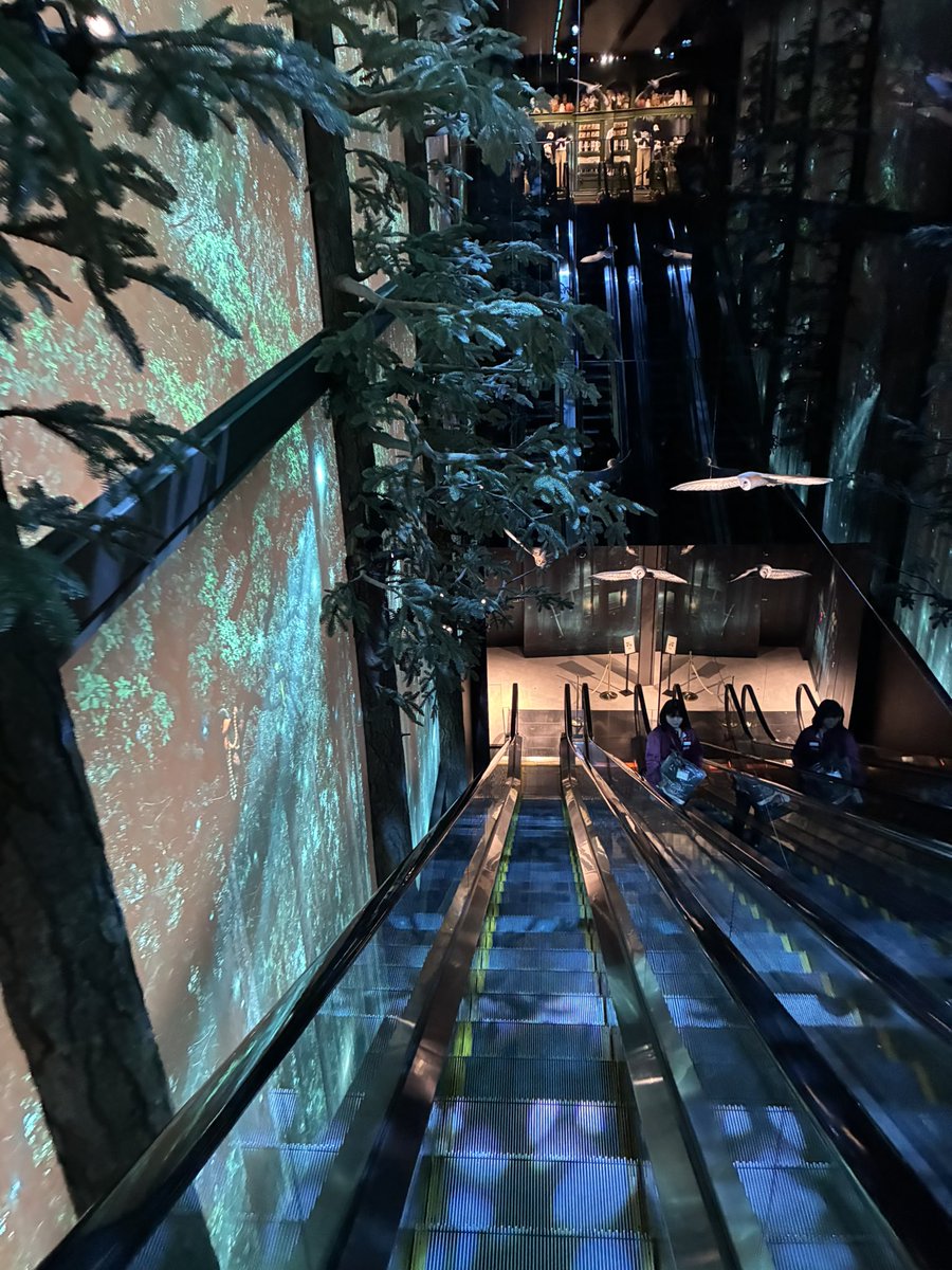 ウサ🌙 tweet media