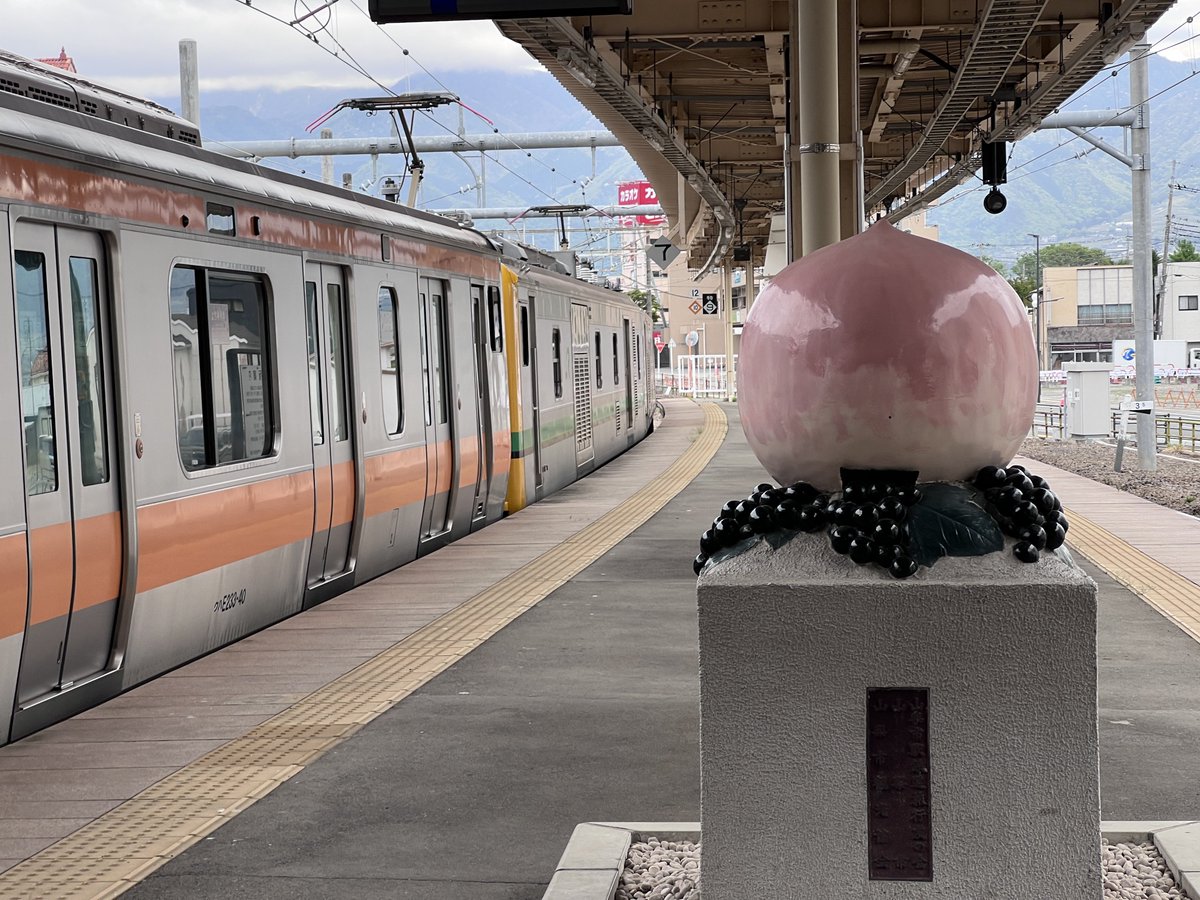 chuo_211_'s tweet photo. 朝遭遇した https://t.co/0ewLjpK0Pm
