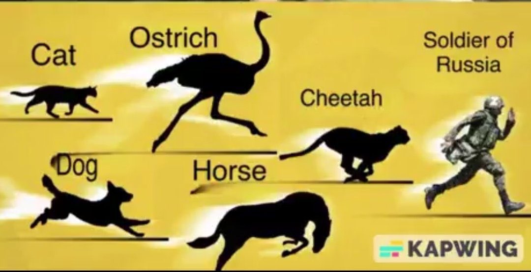 Guten morgen ruSSke kurwy 🐷🐷