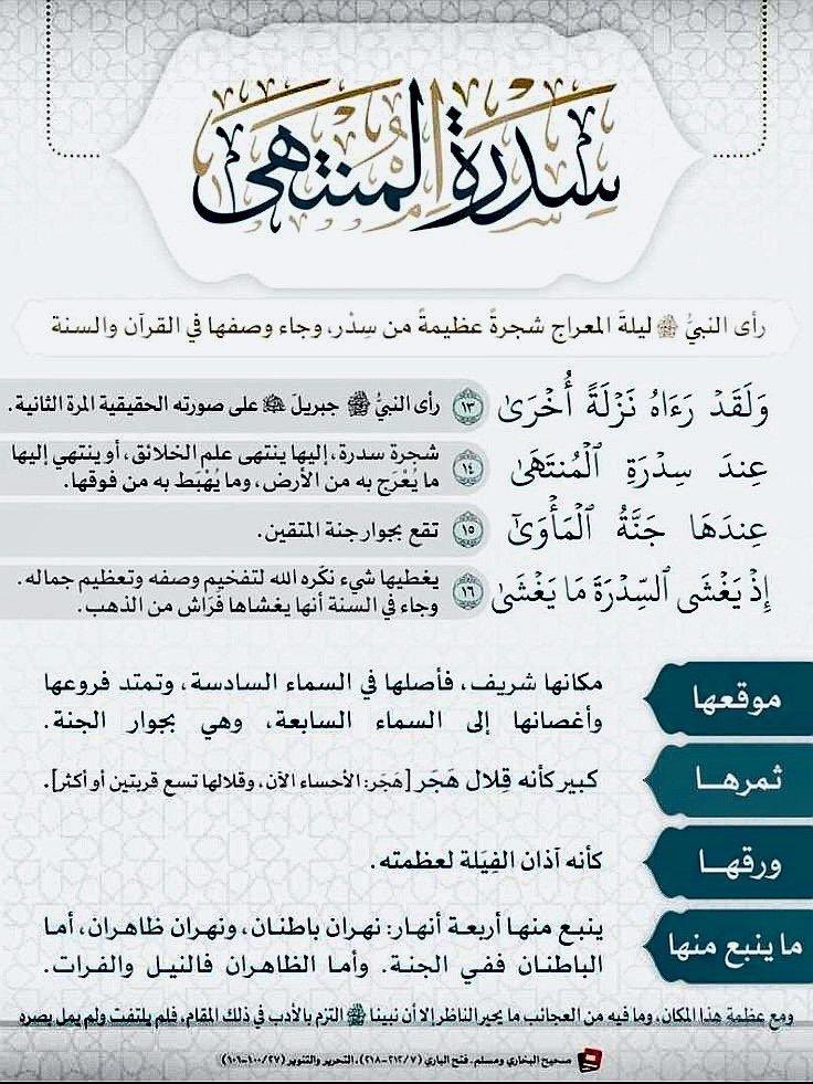 أ/رباب أحمد( خادمة كتاب الله ) tweet media