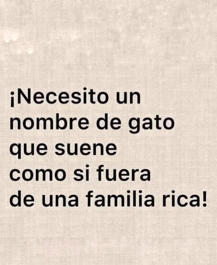 Liliana 💙🦋 tweet media