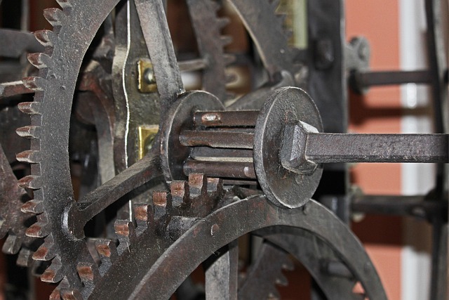 Trudy Hunt tweet media