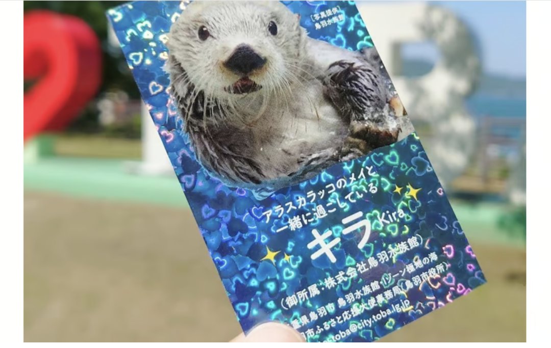 鳥羽市ふるさと応援大使のメイさんと仲良しのキラさんのお誕生日。おめでとうございます✨️

キラさんのキラキラ名刺も2種になりました。メイさんと同様に鳥羽市をいつも盛り上げてくださっているキラさん。いつもあリがとう
furusato-tax.jp/product/detail…
furusato-tax.jp/product/detail…

#ラッコのキラちゃん