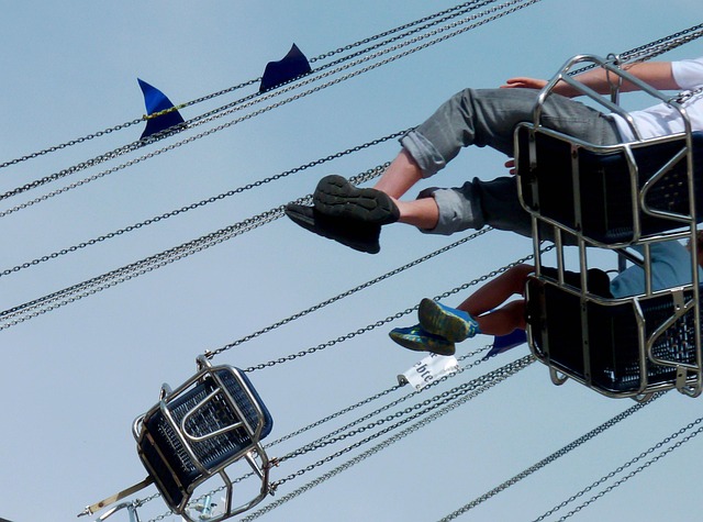 Lynn Estrada tweet media