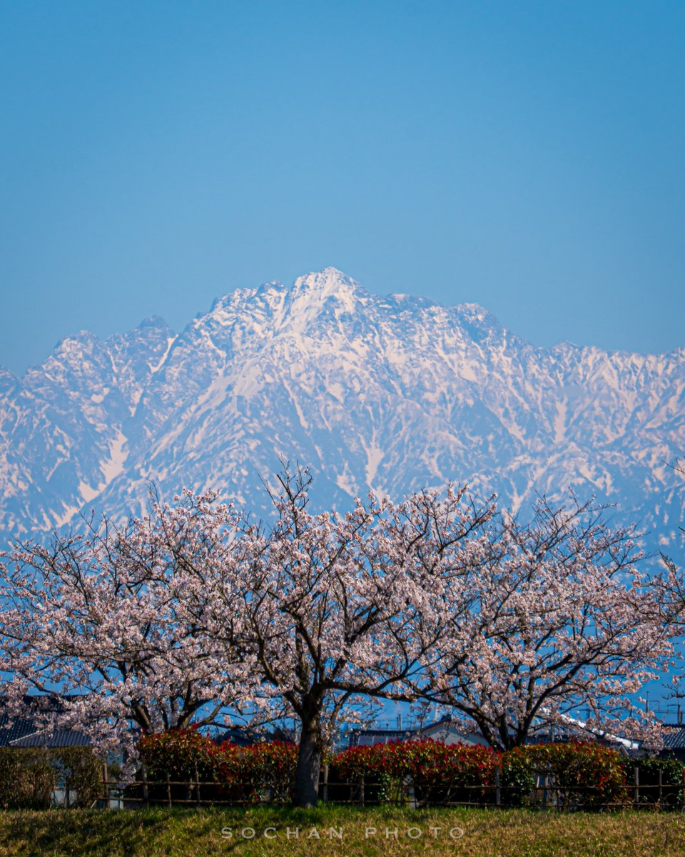 x_sochan's tweet image. 立山連峰と桜②

ᴅᴀᴛᴇ : 2026.4.8
ʟᴏᴄᴀᴛɪᴏɴ : 富山県射水市

ᴄᴀᴍᴇʀᴀ : SONY α7IV
ʟᴇɴs : E 55-210mm F4.5-6.3 OSS

#SonyAlpha 
#これソニーで撮りました