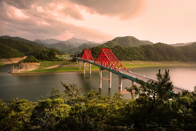 Moira Sandoval tweet media