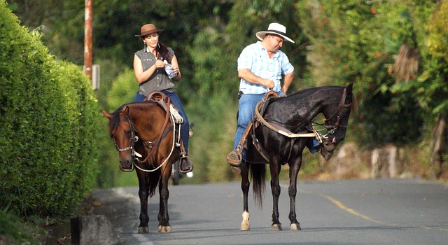 Caleb Martin tweet media