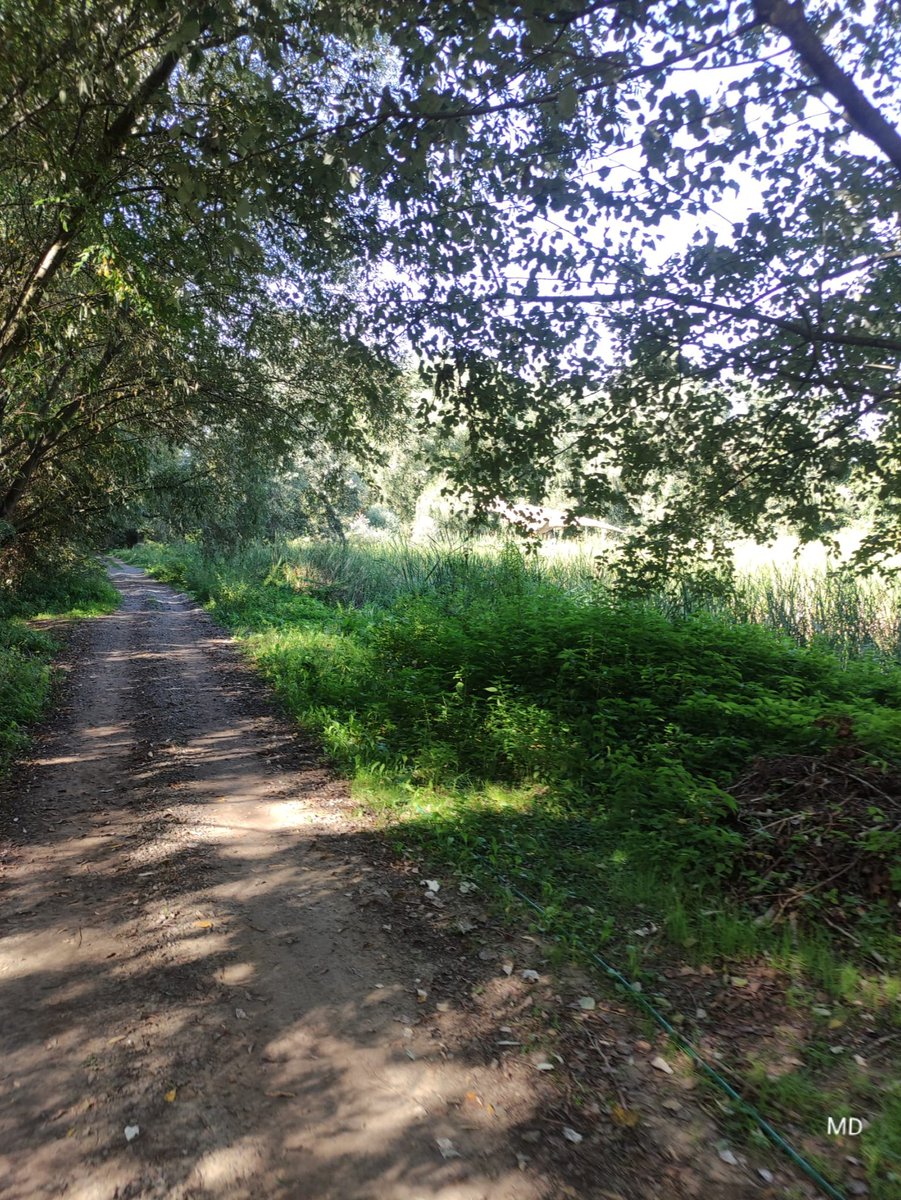 Martina Dvorská tweet media