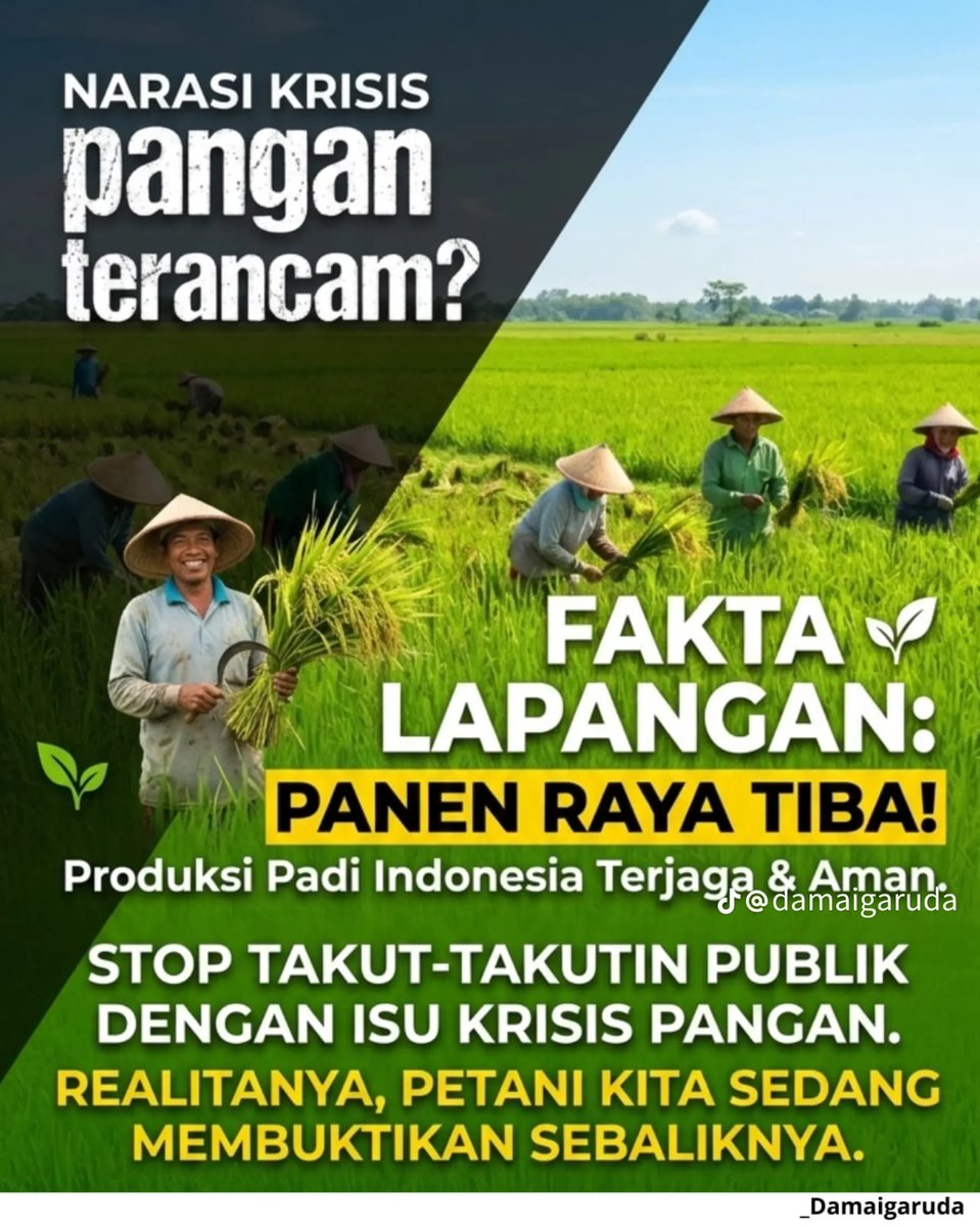 aira tweet media