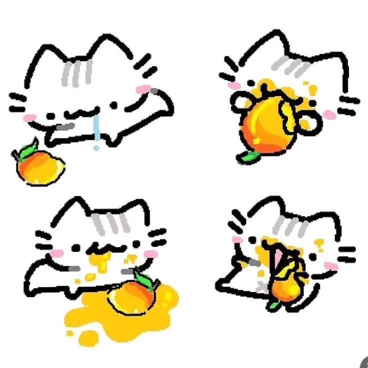 no context cutie tweet media