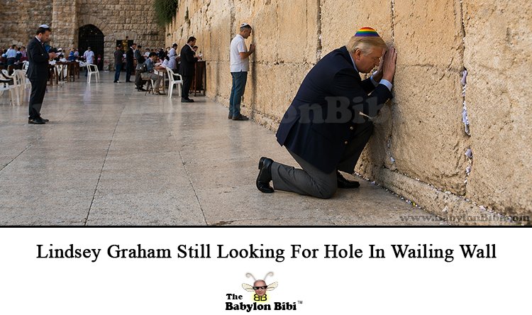 <a href="/MysterySolvents/">@MysterySolvent</a> <a href="/smc429/">Brown Eyed Susan</a> Wailing Walls &amp; Glory Holes