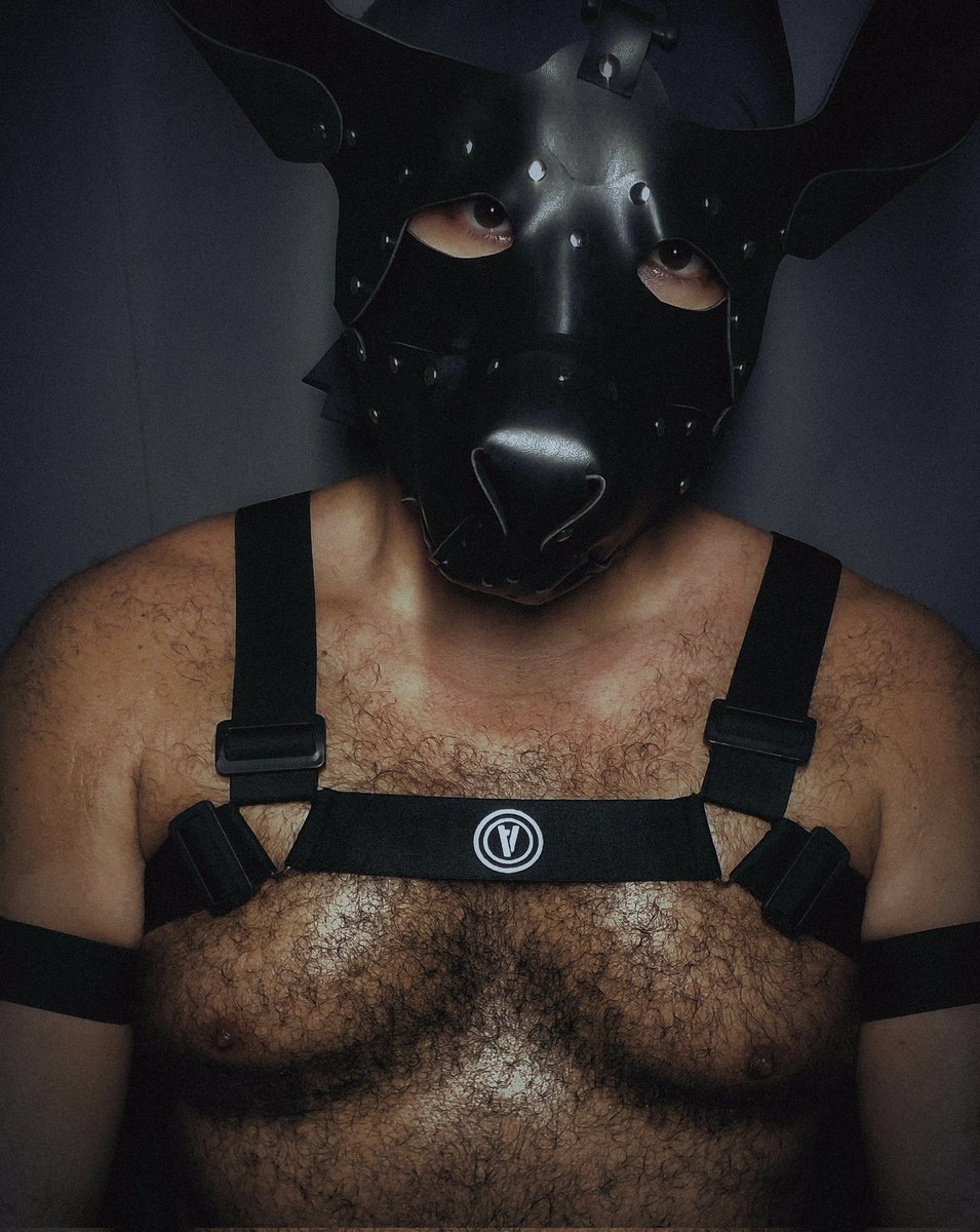 Daddy Bear tweet media