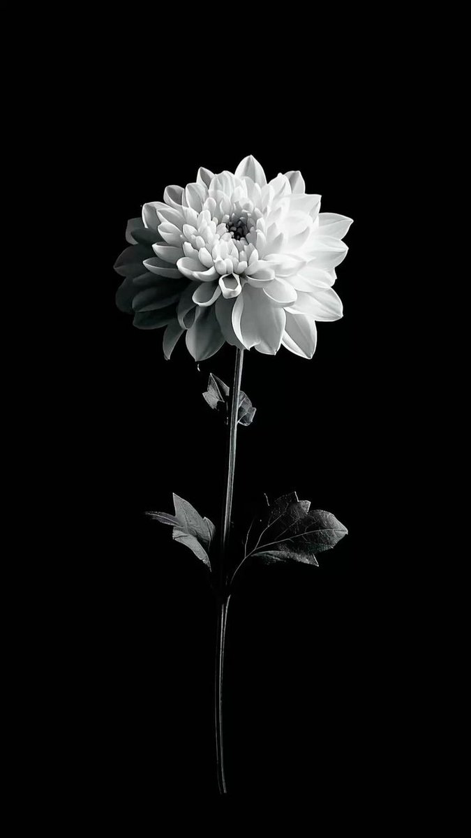 ⁞ 【𝑫𝒆𝒂𝒕𝒉 𝒐𝒇 𝑻𝒉𝒆 𝑬𝒏𝒅𝒍𝒆𝒔𝒔】༒︎ tweet media