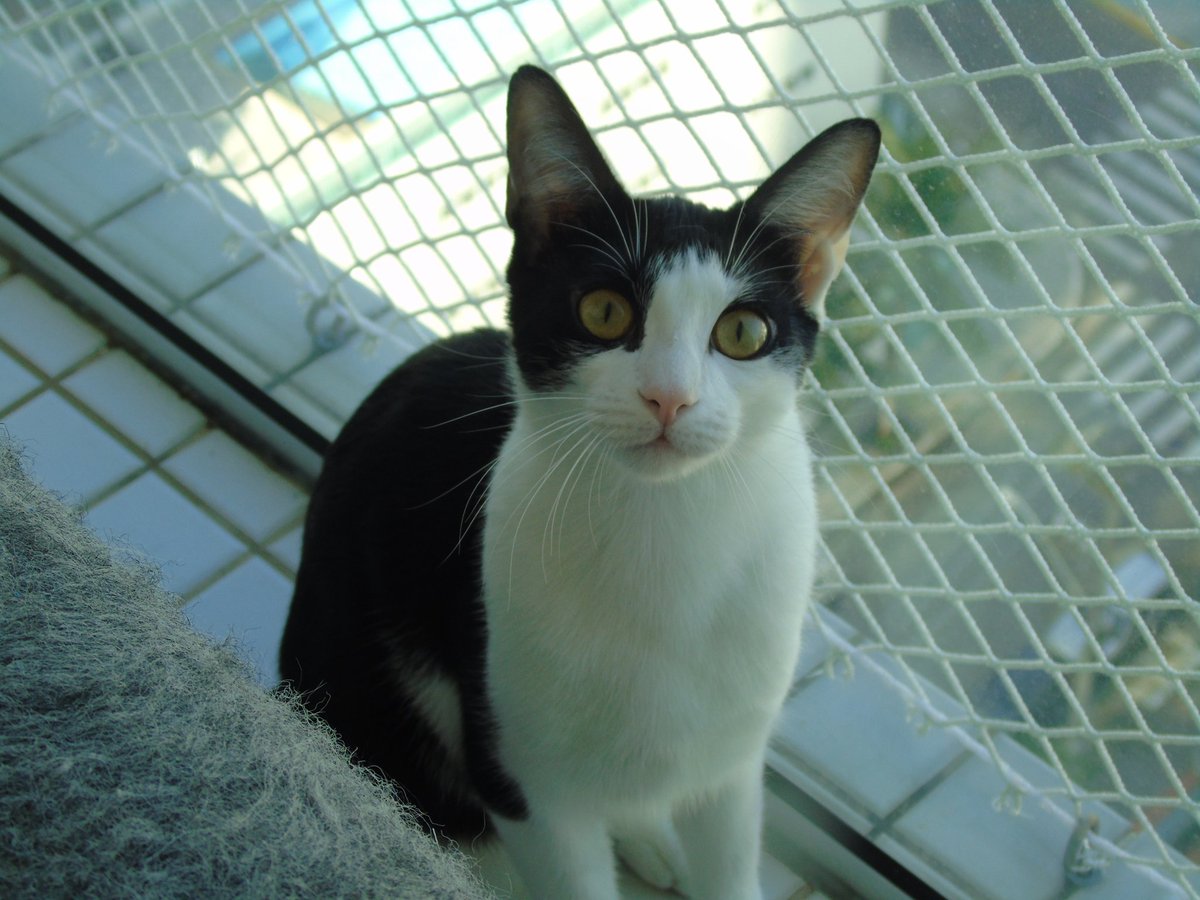 Simone 🌈🇧🇷⭕🚩 tweet media