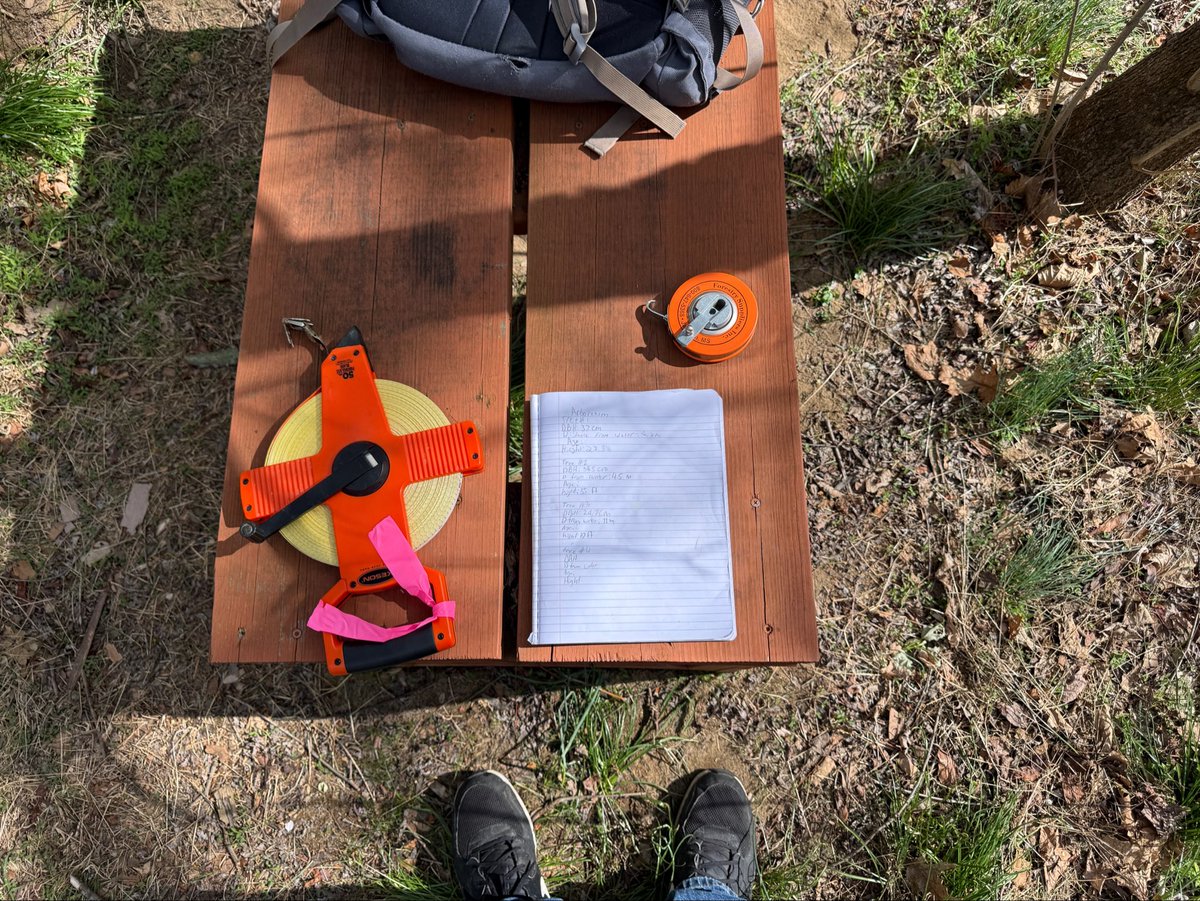 🐾Dizzy Dog🐾 tweet media