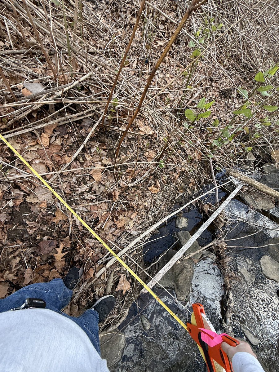 🐾Dizzy Dog🐾 tweet media