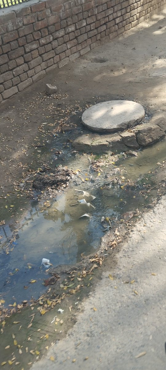 royal79009's tweet image. بسم اللہ پارک ویوز کالونی نمبر 2نزد ڈھیر سائیں قبرستان چوک غلام محمد آباد فیصل آباد میں 15 دن سے گٹر بند ہے سارہ پانی پارک میں جا رہا ہے 
@MaryamNSharif 
@SaimaFarooq
@govtofpunjabpk 
#maryamnawaz #punjab #complaint #gov #foryou