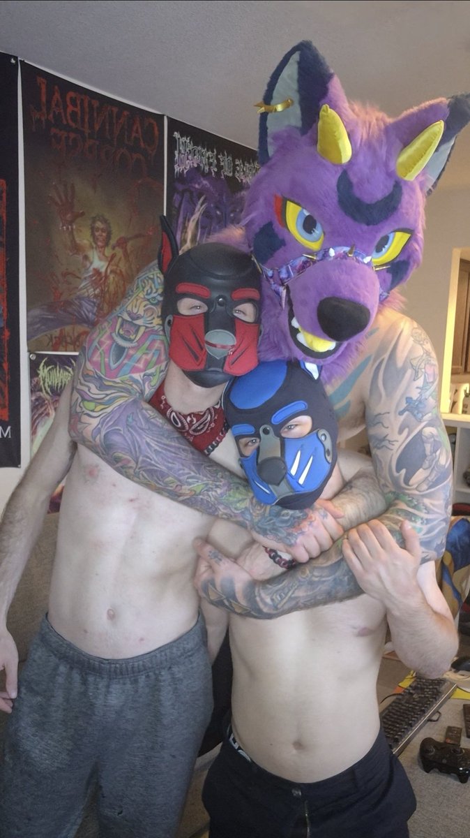 Shinigami Wolf Ⓥ tweet media