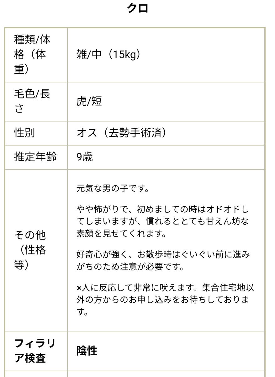 拡散希望📣📣📣📣📣  
#ペットショップに行く前に
#譲渡犬 #保護犬を家族に
#福島県 #保護犬
🌟譲渡を受ける方は譲渡手続きの概要をご覧ください ⇩ 
pref.fukushima.lg.jp/sec/21620a/jot…
🔴連絡先🔴
#福島県動物愛護センター 本所
☎024-953-6400
pref.fukushima.lg.jp/sec/21620a/jot…
🟢クロくん🟢