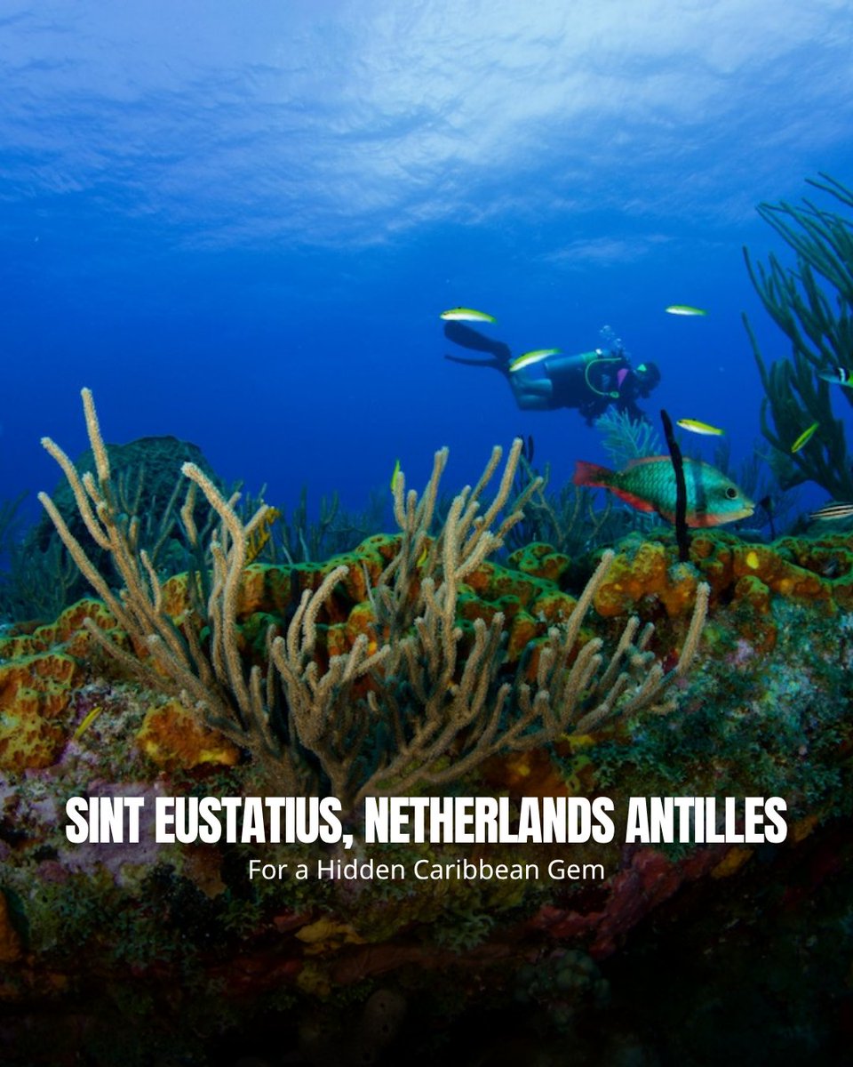 PADI's tweet image. We’ve compiled a list of off-the-radar dive destinations. Join the Community and Get Instant Access! 🔖

Stick with us and you’ll also get:
✈️ Travel inspo
🤿 Exclusive offers
🦈 Tips to keep your dive game 
🌊 Ocean stories

Tap here 🔗 padi.com/dive-destinati…

#PADI #HiddenGems