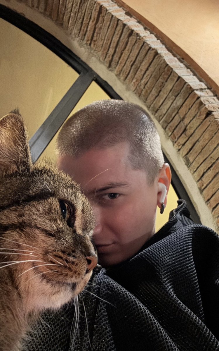 Bogdan Shevchenko tweet media