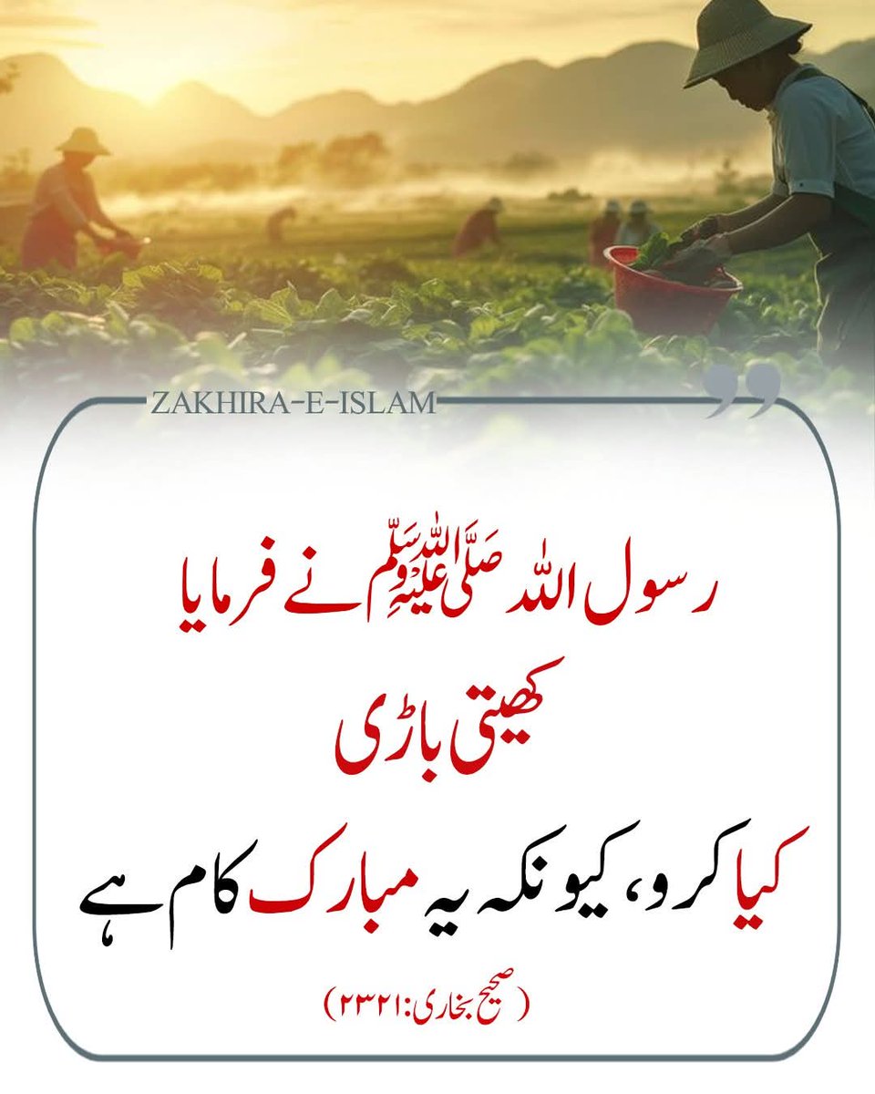 رسول اللہ ﷺ نے فرمایا: