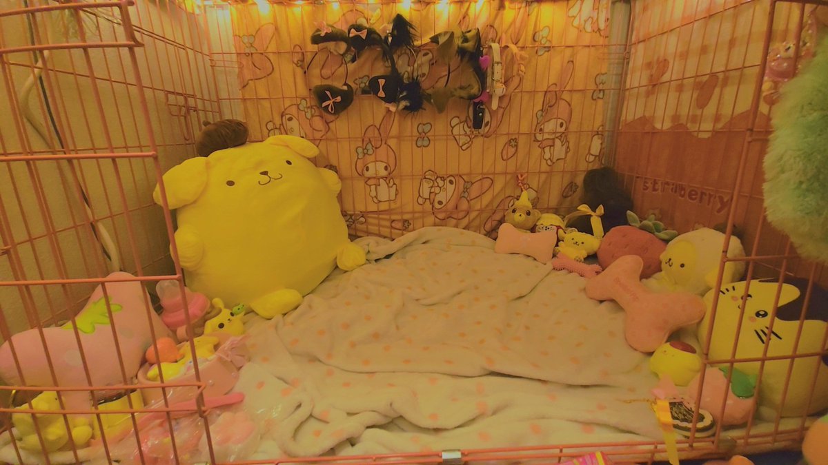 🎀 Puppy 🐾 tweet media