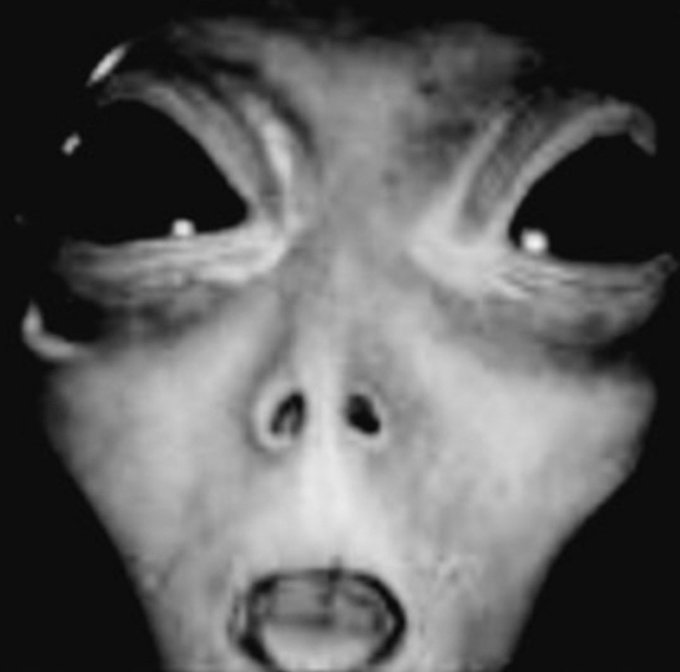 Q ™️ tweet media