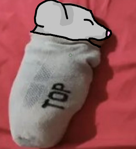 Oo Zeyphy oO (Ratling Fanboy, and lover smtms)🐀🥛 tweet media